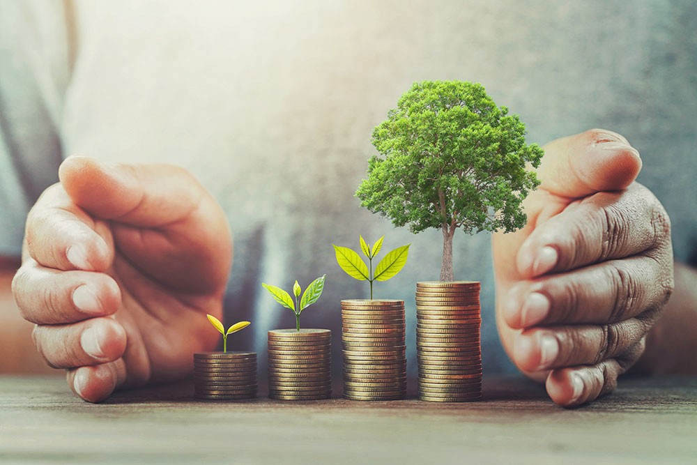Scenari, conseils en politique d’investissement durable et sélection de projets